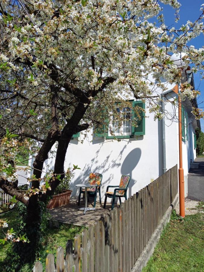 Ferienhaus Im Thermenland Ilz Esterno foto