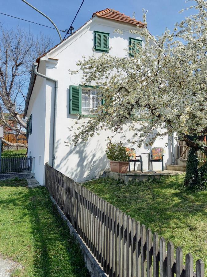 Ferienhaus Im Thermenland Ilz Esterno foto